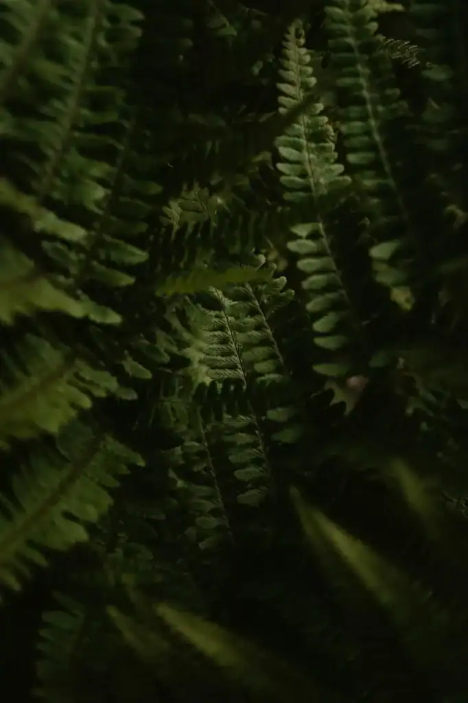 steffen-schubert-9OK2g3t-o7k-unsplash